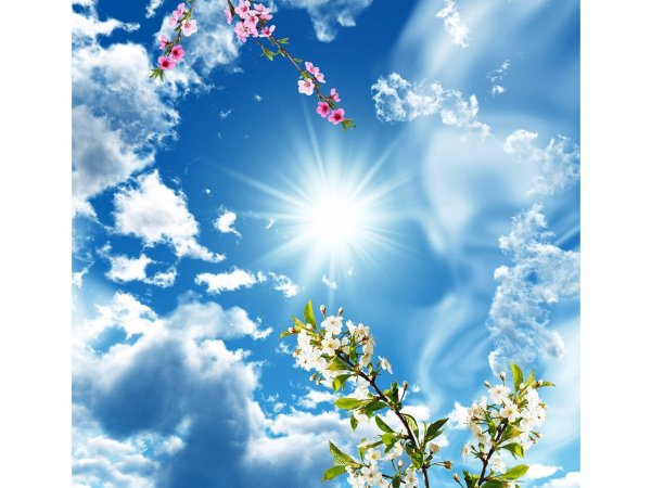 Весеннее солнечное небо