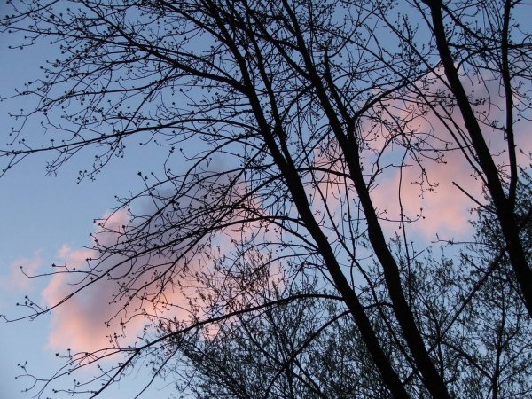 Весеннее небо