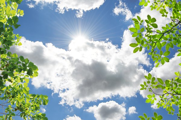 Птицы в небе акварель