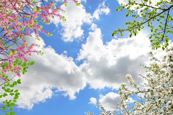 Февраль небо