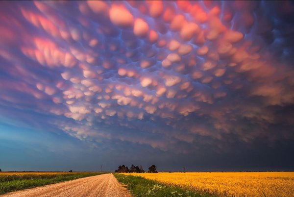 Вымеобразные облака (Mammatus cloud)