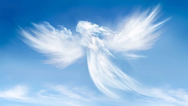 Крылья ангела в небесах