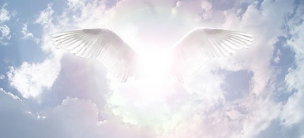 Крылья на фоне неба