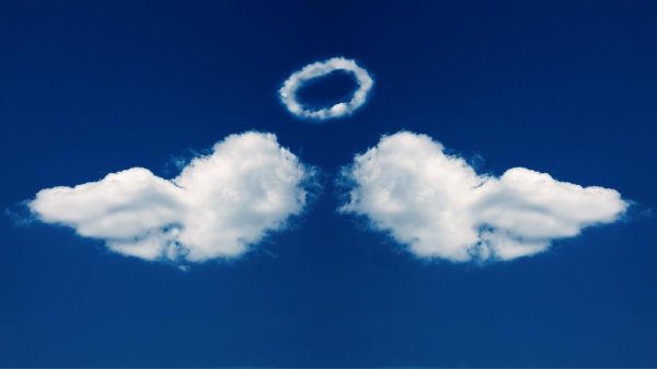 Крылья в небе