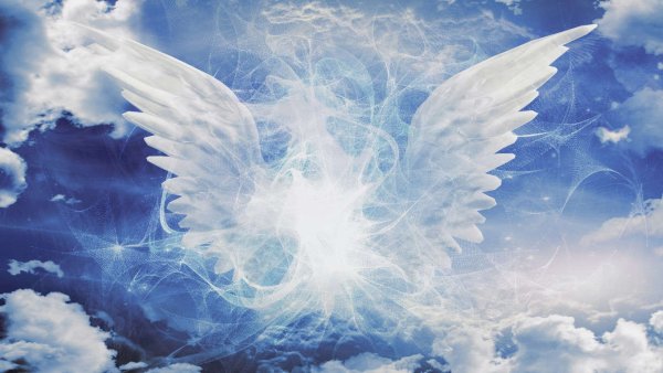 Небесное крыло