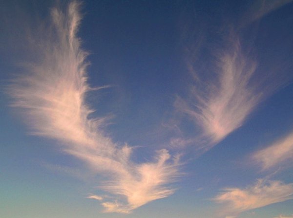 Ангел в небе