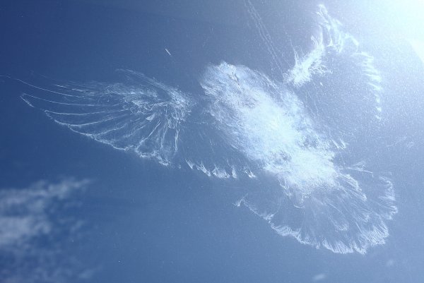 Небесные ангелы