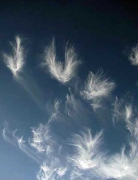 Ангелочки на голубом небе