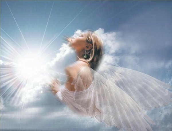 Птица из облаков