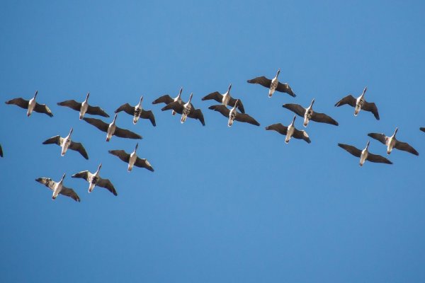 Журавлиный Клин осенью