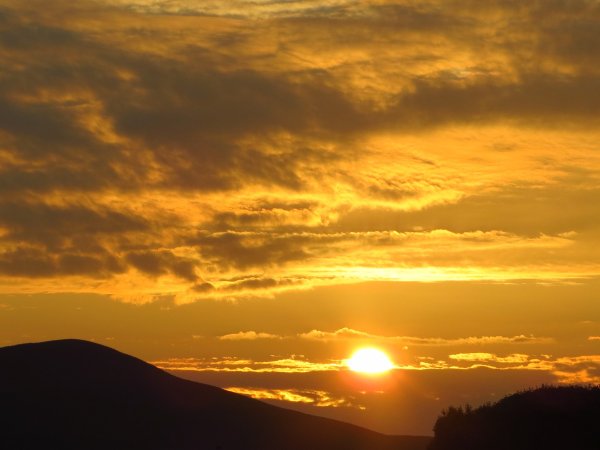 Небо вечернее желтое