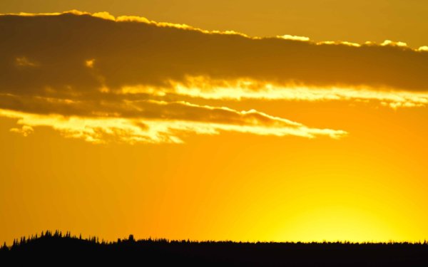 Небо с желтоватым оттенком