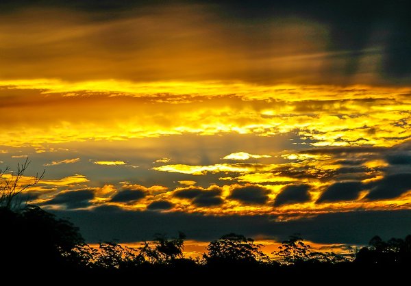 Желтый закат