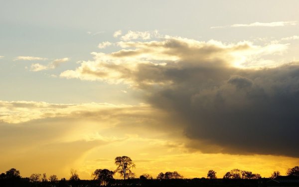 Желтые облака