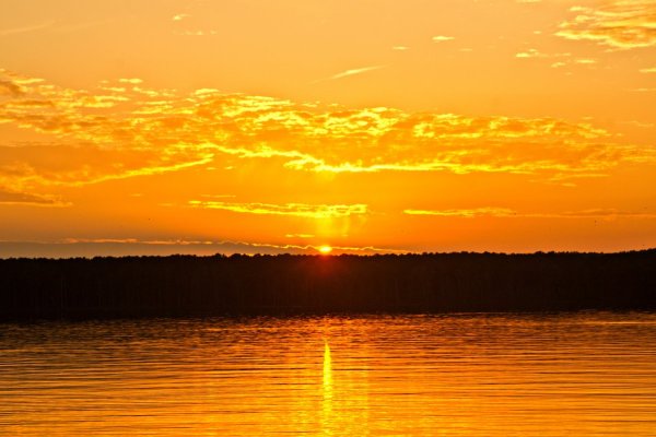 Желтый закат