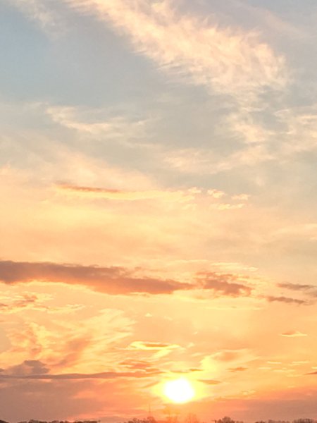 Темно желтое небо