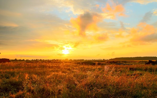 Желтый фон аниме