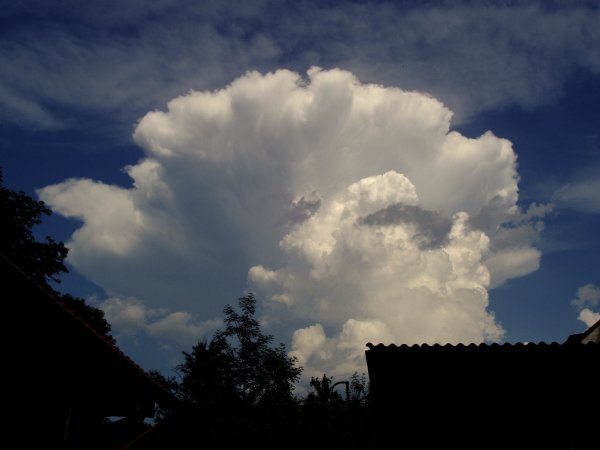 Огромная туча