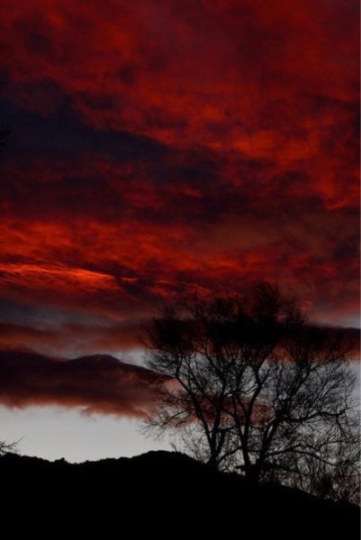 Багровый закат