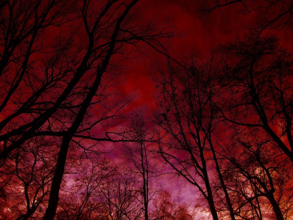 Кровавая Луна