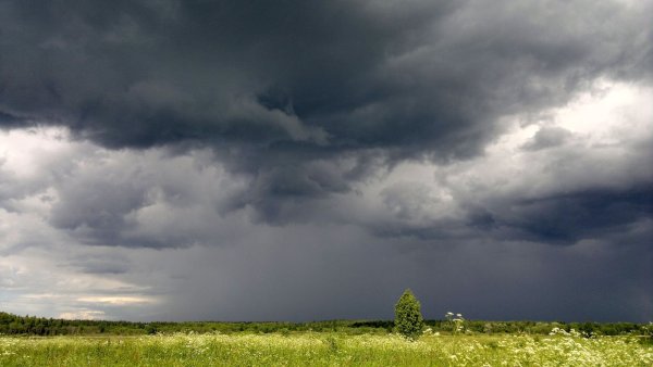 Дождливое небо