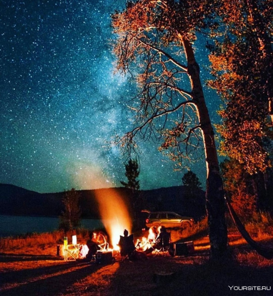 Ночной костер в лесу