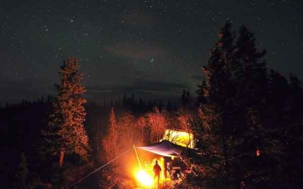 Лес палатка костер