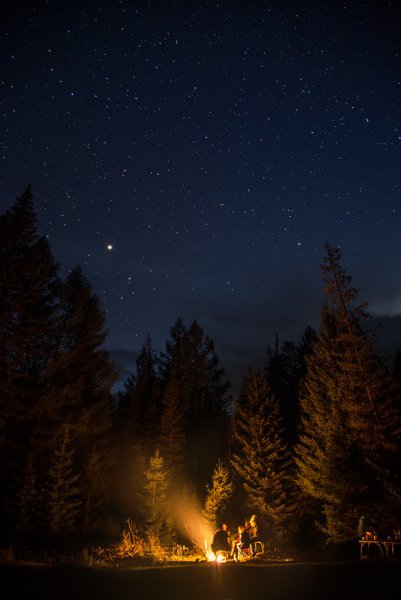 Ночная природа