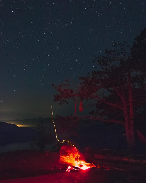 Ночной лес со звездами