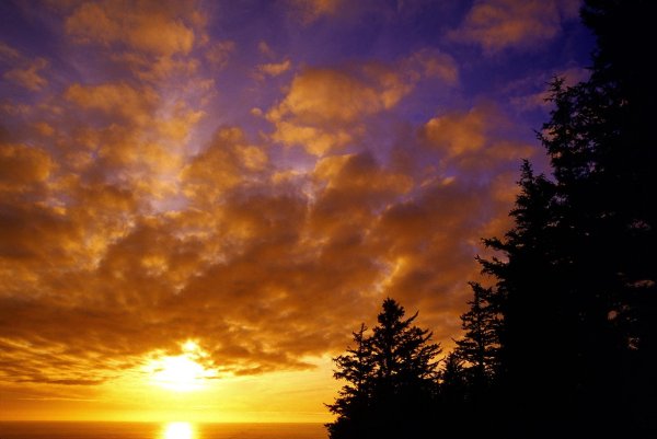 Вечернее небо