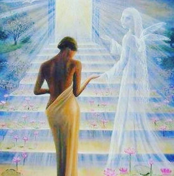 Девушка отпускает птицу