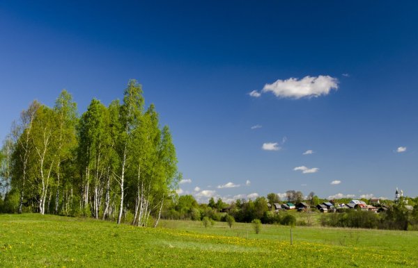Небо Горизонт