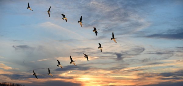 Журавлиный Клин осенью