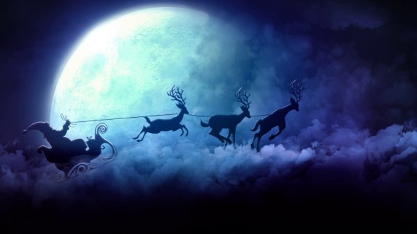 Олени в упряжке Санта Клауса