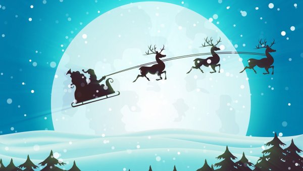 Олени Деда Мороза