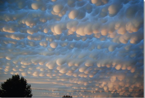 Кучево дождевые вымеобразные