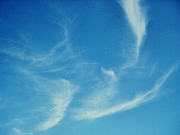 Небо Кучевые облака