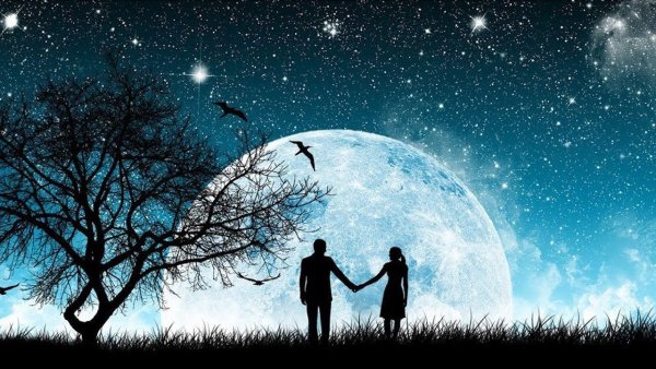 Силуэты влюбленных на фоне природы