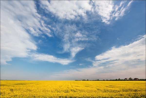 Небо Родины