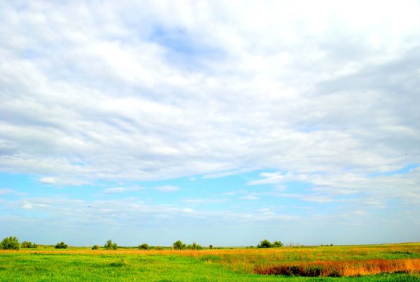 Небо Родины