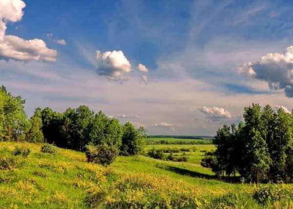 Родные просторы Пушгоры панорама