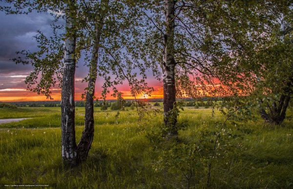 Родина земля