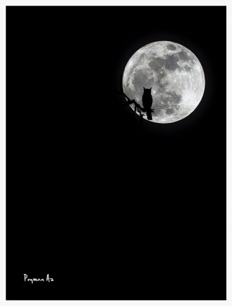 Черная Луна