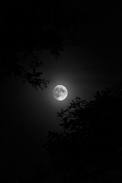 Ночь Луна