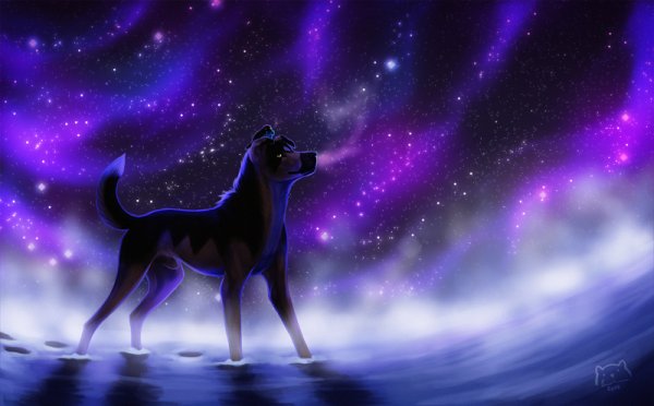 Космическая собака арт