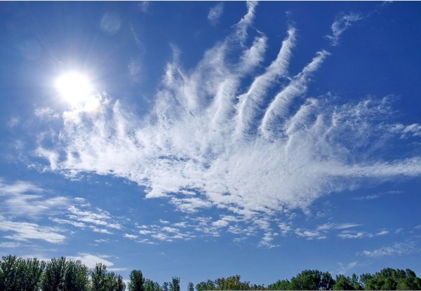 Перистые волокнистые облака