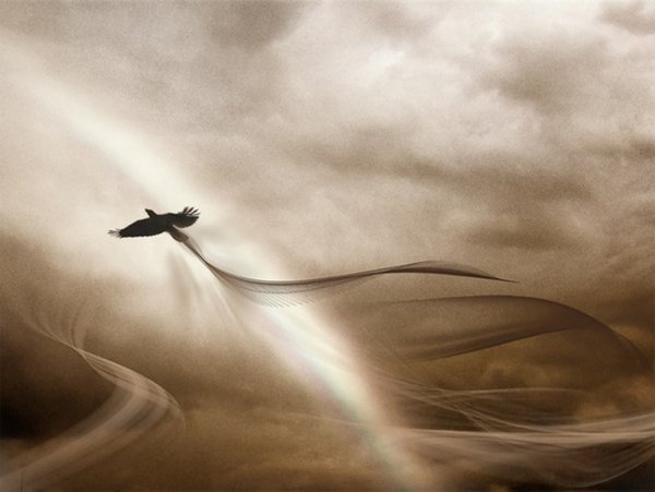 Что летает в небе