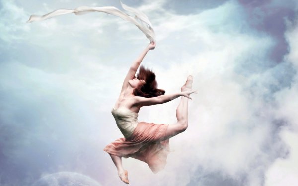 Аниме птицы в небе