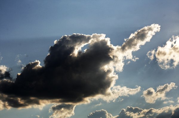 Облако в виде члена