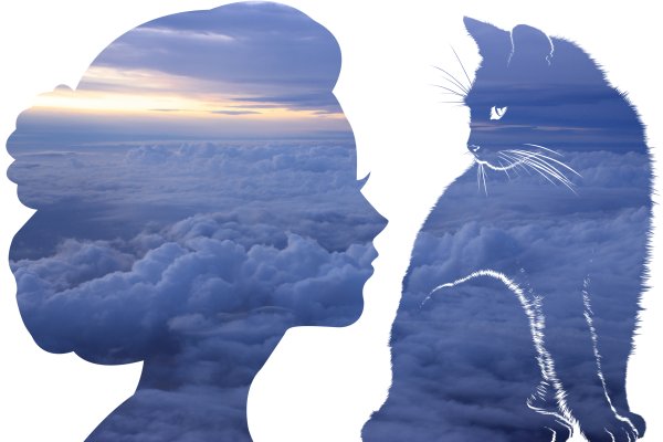 Мост радуги